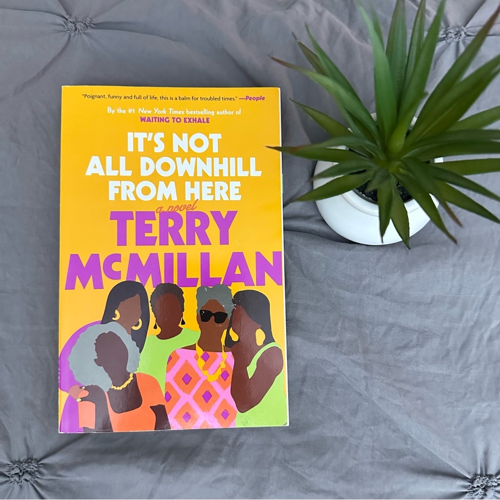 🌹”It’s Not All Downhill From Here”Book - AUTHOR TERRY MCMILLAN •